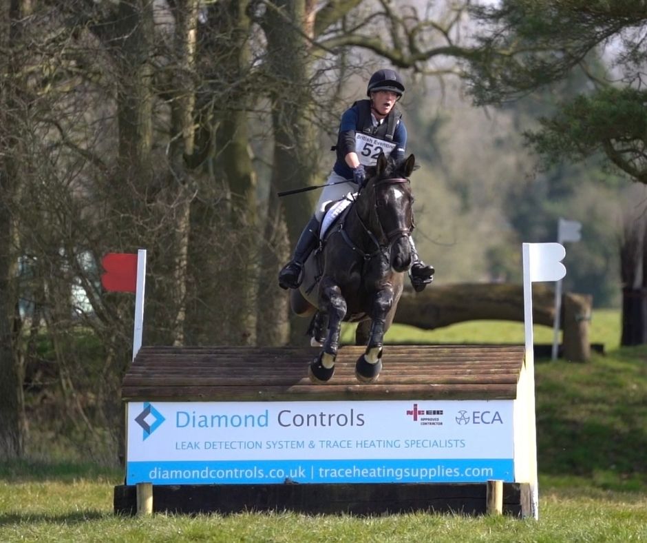 diamond controls horse jump